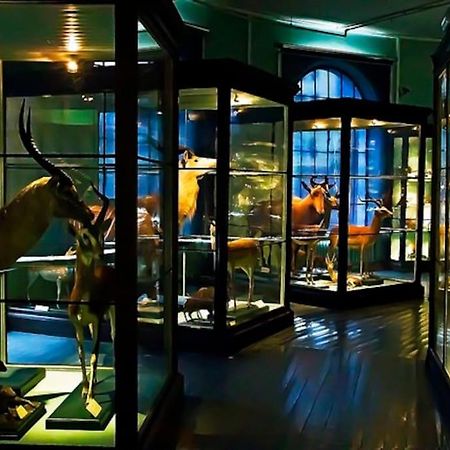 Spacious Historical Art Oasis In The City Center Bergen Exterior photo